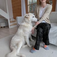 liebe Schmusehündin Jessi bei München!, Hündin zur Adoption