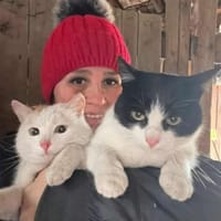 Bounty & Raffaelo Süßes Dreamteam, Kater zur Adoption