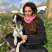 KIRA (Animalea), chienne à adopter