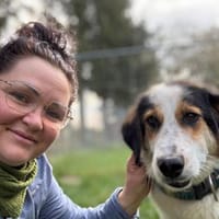 Geroj ein wahrer Schatz, Hund zur Adoption