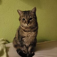 Vicky, {género}