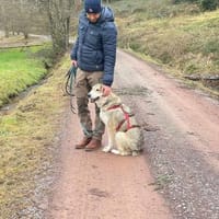 BALI sucht seine Familie, Hund zur Adoption