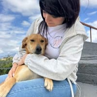 kleine Sole, Hündin zur Adoption