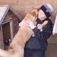 Tinchen - kleines Fräulein m.großem Herz, Hündin zur Adoption