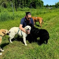 Lennie wuschelweicher wunderbarer Hund, Hund zur Adoption