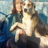 NICKY, chien à adopter