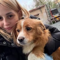 Anton - 40 cm, süß, menschenbezogen, Hund zur Adoption