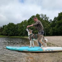 Yves in 26349 Jade HsH Mischling, Hund zur Adoption