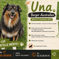UNA (Réservée), chienne à adopter