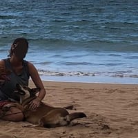 La tendre Demoiselle, chienne à adopter