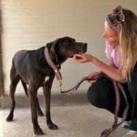 Czarny, hübscher Rüde, ca.10 Jahre, Hund zur Adoption