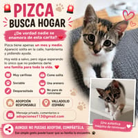 PIZCA, {género}