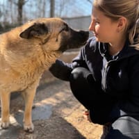 Gertie, Hündin zur Adoption