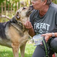 Merle - eine sanfte Seele, Hündin zur Adoption