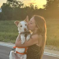 Elio wartet auf dich!, Hund zur Adoption