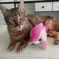 Rony, {género}