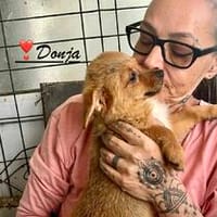 Donja, eins von 5 ganz bezaubernden Girls, Hündin zur Adoption