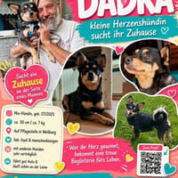 DADKA, Mix, geb. 07/2025, Hündin zur Adoption