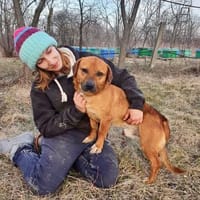 ANTON, chien à adopter