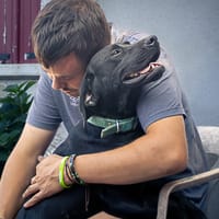 Tobby, chien à adopter
