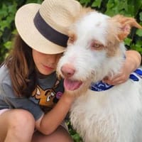KAIRI - eine besondere Hündin - sucht..., Hündin zur Adoption