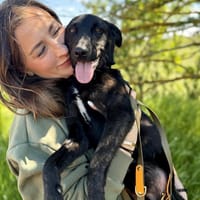 Szmoking  -Lebensfroher Charakterkopf, Hund zur Adoption