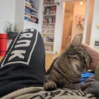 Unser zartes Katzenseelchen Findus, Kater zur Adoption