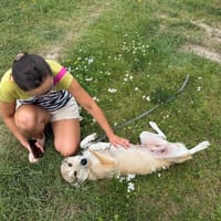 Tundra, suczka do adopcji