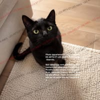 Rosamay, chatte à adopter