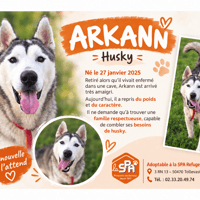 ARKANN, chien à adopter
