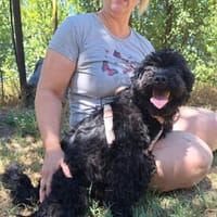 Momo, sensibler Begleiter, ca. 1 Jahr, Hund zur Adoption