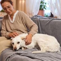 Sanfte und feinfühlige Lita sucht Zuhaus, Hündin zur Adoption