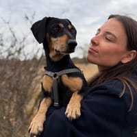 Colton -Kleiner Herzenshund sucht endlich sein Glück!, Hund zur Adoption