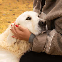 R'MESS (réservée) OAA20175, chienne à adopter
