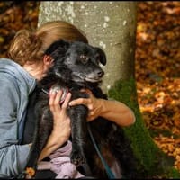 ❤ Manni auf der Suche nach seinem Für-immer-Zuhause 🐾, Hund zur Adoption