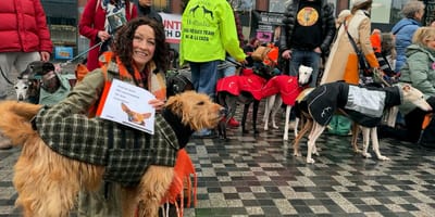 100 Spaanse jachthonden in binnenstad Utrecht als protest