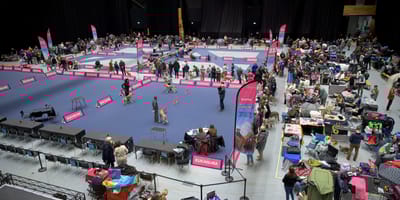 1500 honden komen bijeen in Groningen bij Martiniplaza