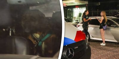2 honden achtergelaten in bloedhete auto op Kruiskade in Rotterdam