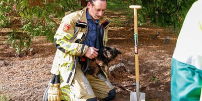 2 honden vast in konijnenhol Naarden