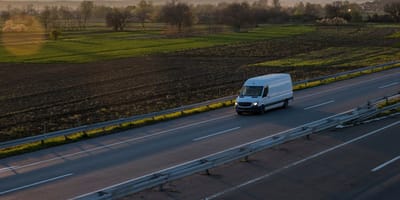 45 Hund in einem Kleintransporter entdeckt
