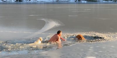 Mann und zwei Hunde im zugefrorenen See