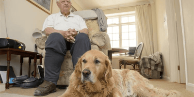 Deafblind pensioner’s overweight guide dog taken to save dog’s health