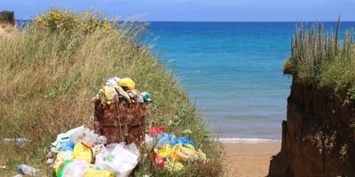 Überfüllter Mülleimer am Strand