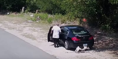 dog being abandondoned on side of road