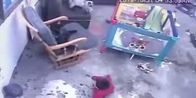 CCTV footage of cat running to save toddler