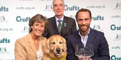 golden-retriever-premiato-con-james-middleton