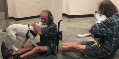 man sitting on the floor hugging mixed breed dog