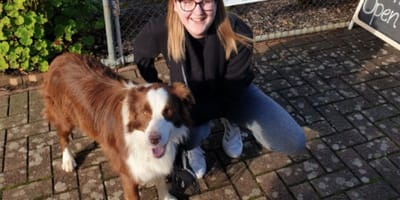 brown border collie standing next to smiling owner