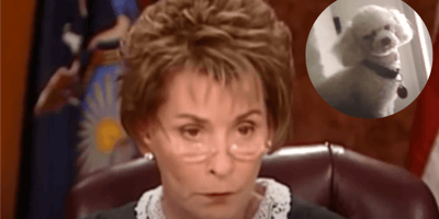 Woman claims stolen dog is hers Judge Judy settles debate in