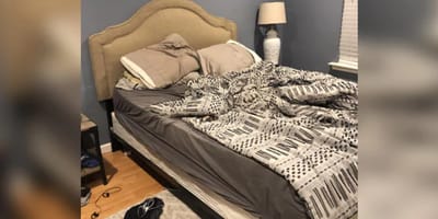 Hund im Schlafzimmer